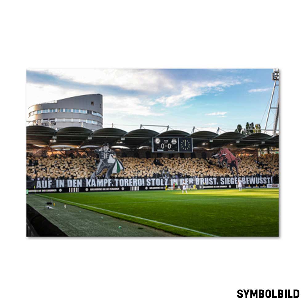 Leinwandbild "Torero"