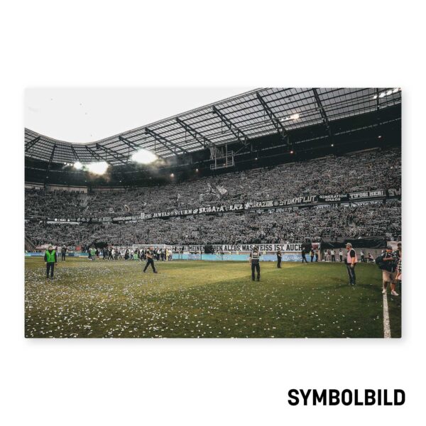 Leinwandbild "Schalparade Cupfinale"