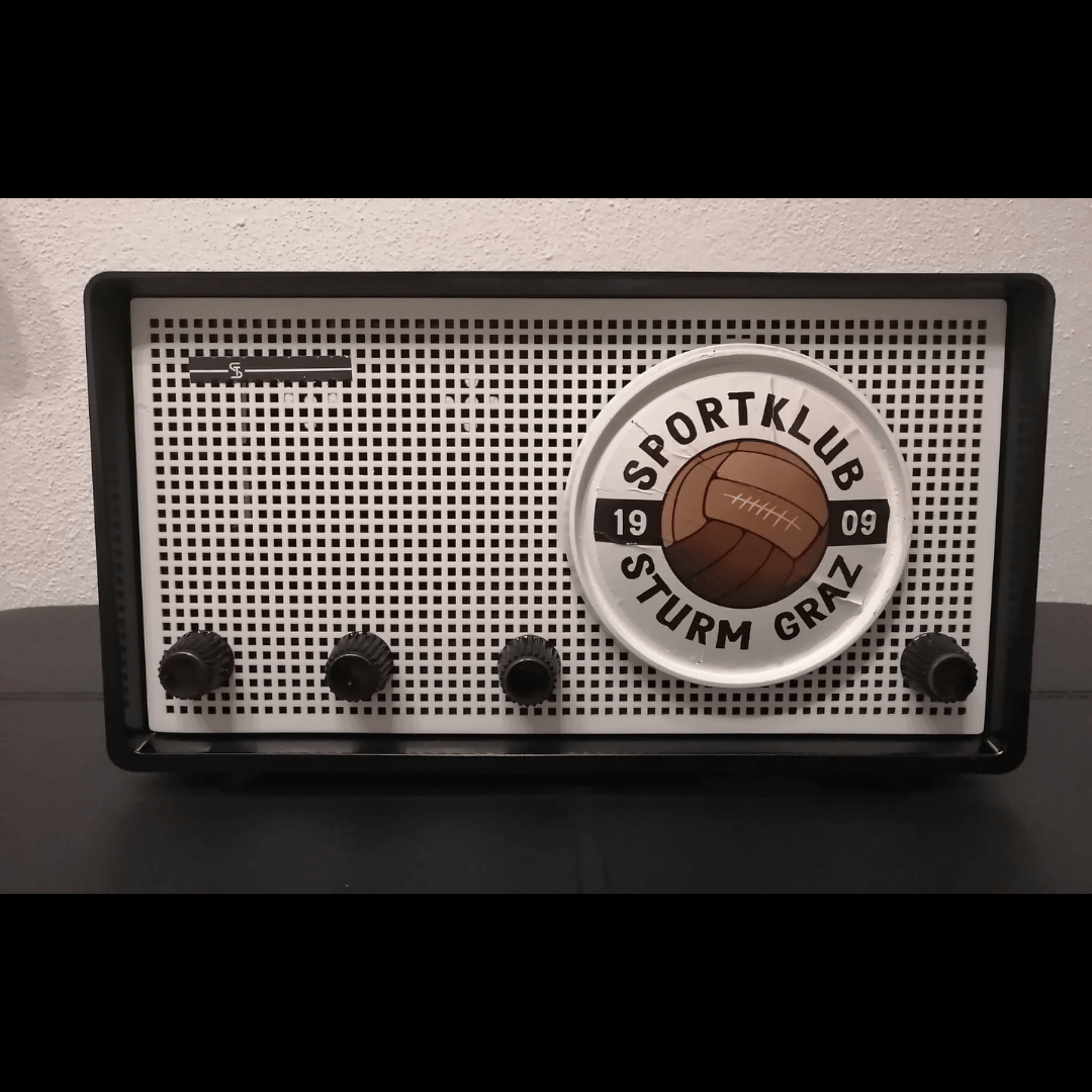 Radiogehäuse Sturm Design inkl. Bluetooth Box